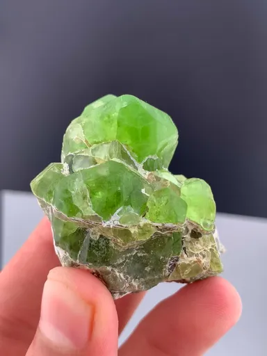specimen video