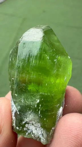 specimen video