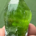 specimen video