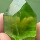 specimen video