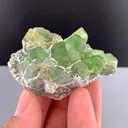 Peridot from Pakistan, Gilgit-Baltistan, Skardu District - image 5