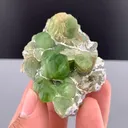 Peridot from Pakistan, Gilgit-Baltistan, Skardu District - image 7