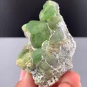 Peridot from Pakistan, Gilgit-Baltistan, Skardu District - image 9