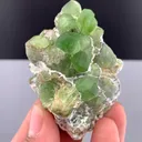 Peridot from Pakistan, Gilgit-Baltistan, Skardu District - image 8