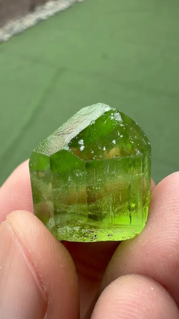 specimen video
