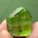 specimen video