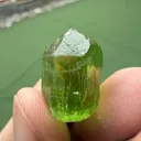 Peridot from Pakistan, Khyber Pakhtunkhwa Province, Sapat Gali - image 5