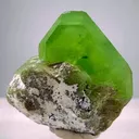 specimen video