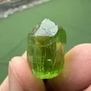 Peridot from Sapat Gali, Khyber Pakhtunkhwa Province, Pakistan - image 5