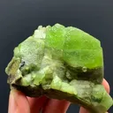 specimen video