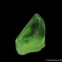 Peridot included by Ludwigite - image 1
