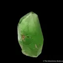 Peridot included by Ludwigite - image 3