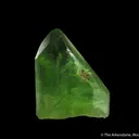 Peridot included by Ludwigite - image 2