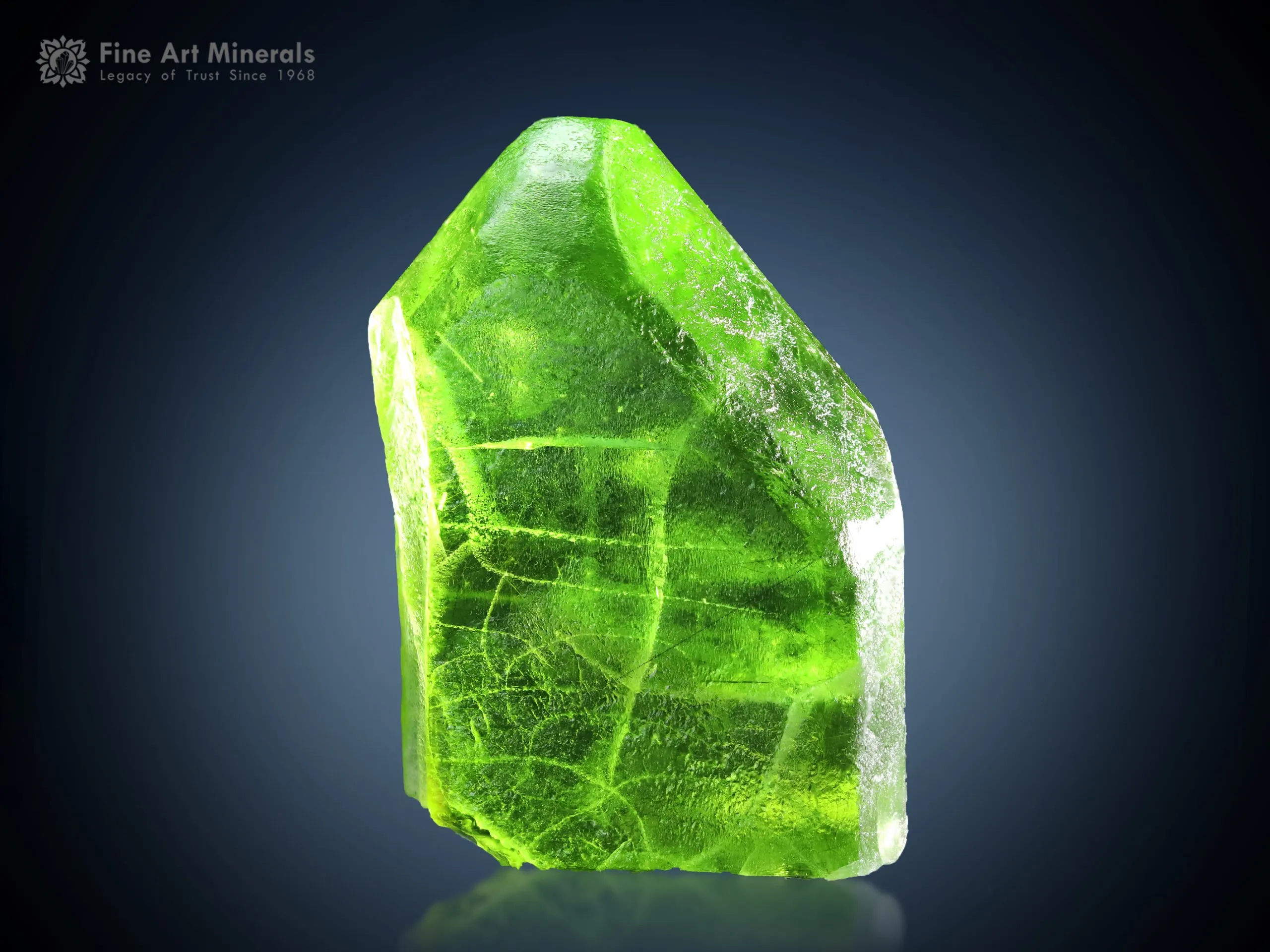 Peridot with Ludwigite Inclusion from Pakistan - image 1