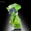 Peridot with Magnetite from Kohistan Pakistan - image 2