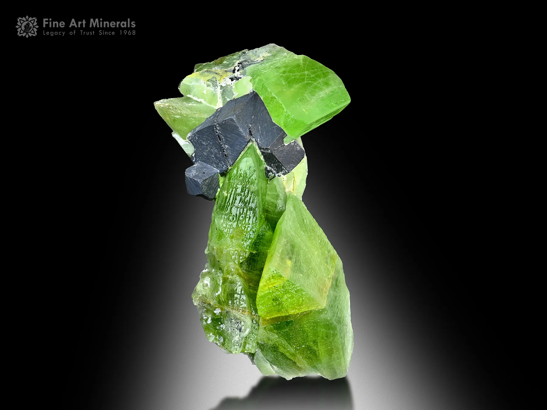 Peridot with Magnetite from Kohistan Pakistan - image 2