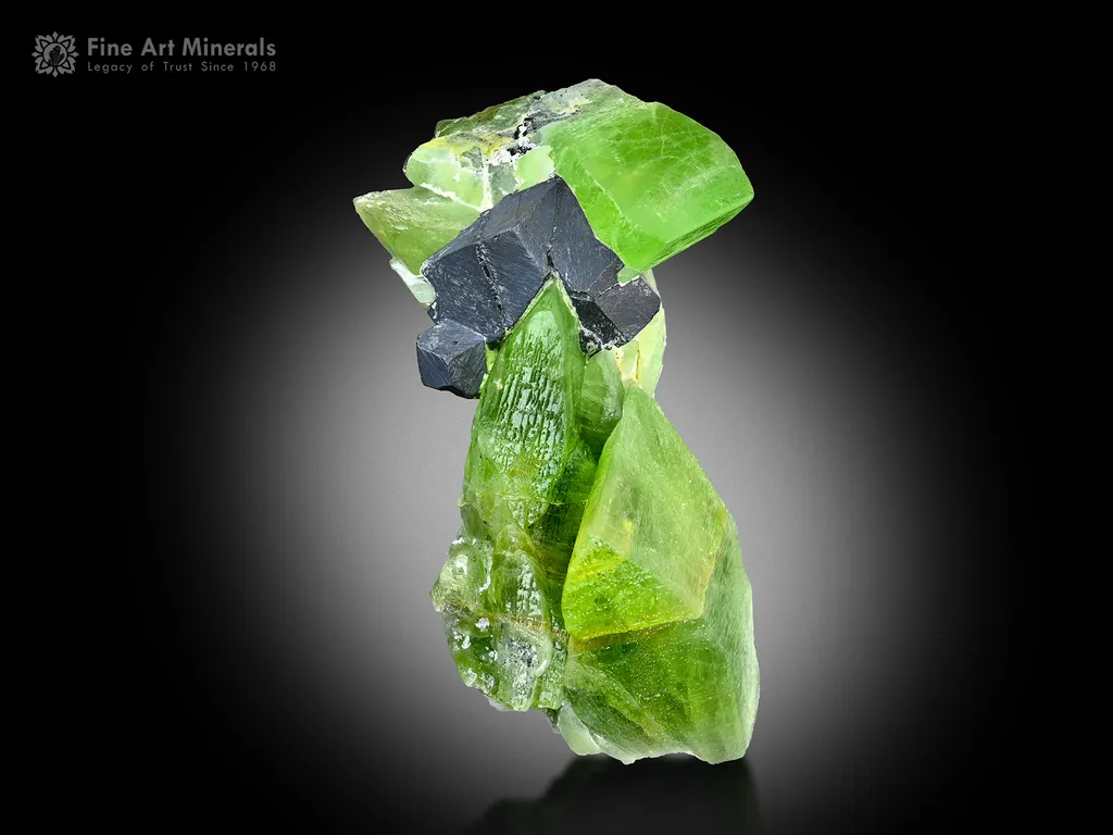 Peridot with Magnetite from Kohistan Pakistan image