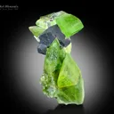 Peridot with Magnetite from Kohistan Pakistan - image 1
