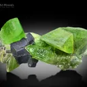 Peridot with Magnetite from Kohistan Pakistan - image 3
