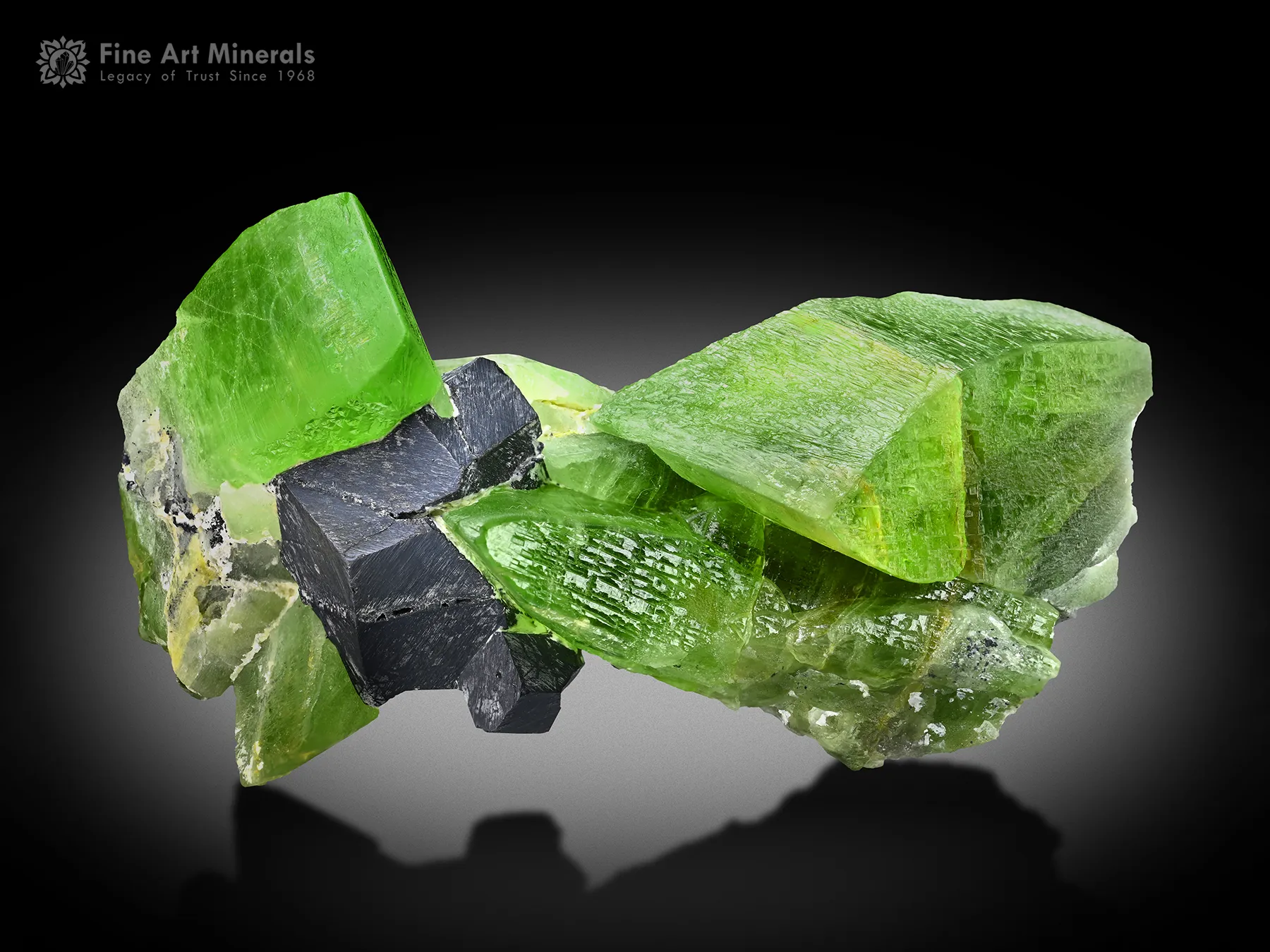 Peridot with Magnetite from Kohistan Pakistan - image 3