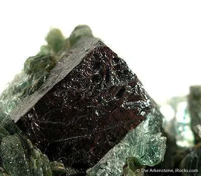 Perovskite on Chlorite-Included Muscovite - image 2