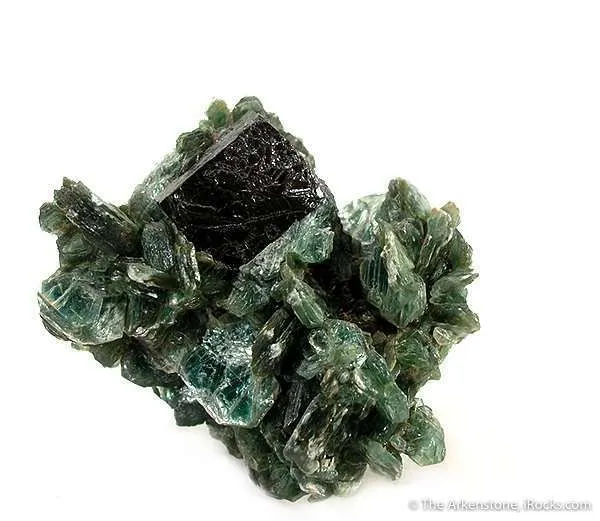 Perovskite on Chlorite-Included Muscovite image
