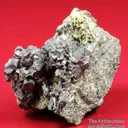 Perovskite with Phlogopite, Richterite, Augite on jacupirangite - image 2