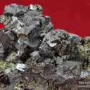 Perovskite with Phlogopite, Richterite, Augite on jacupirangite - image 3