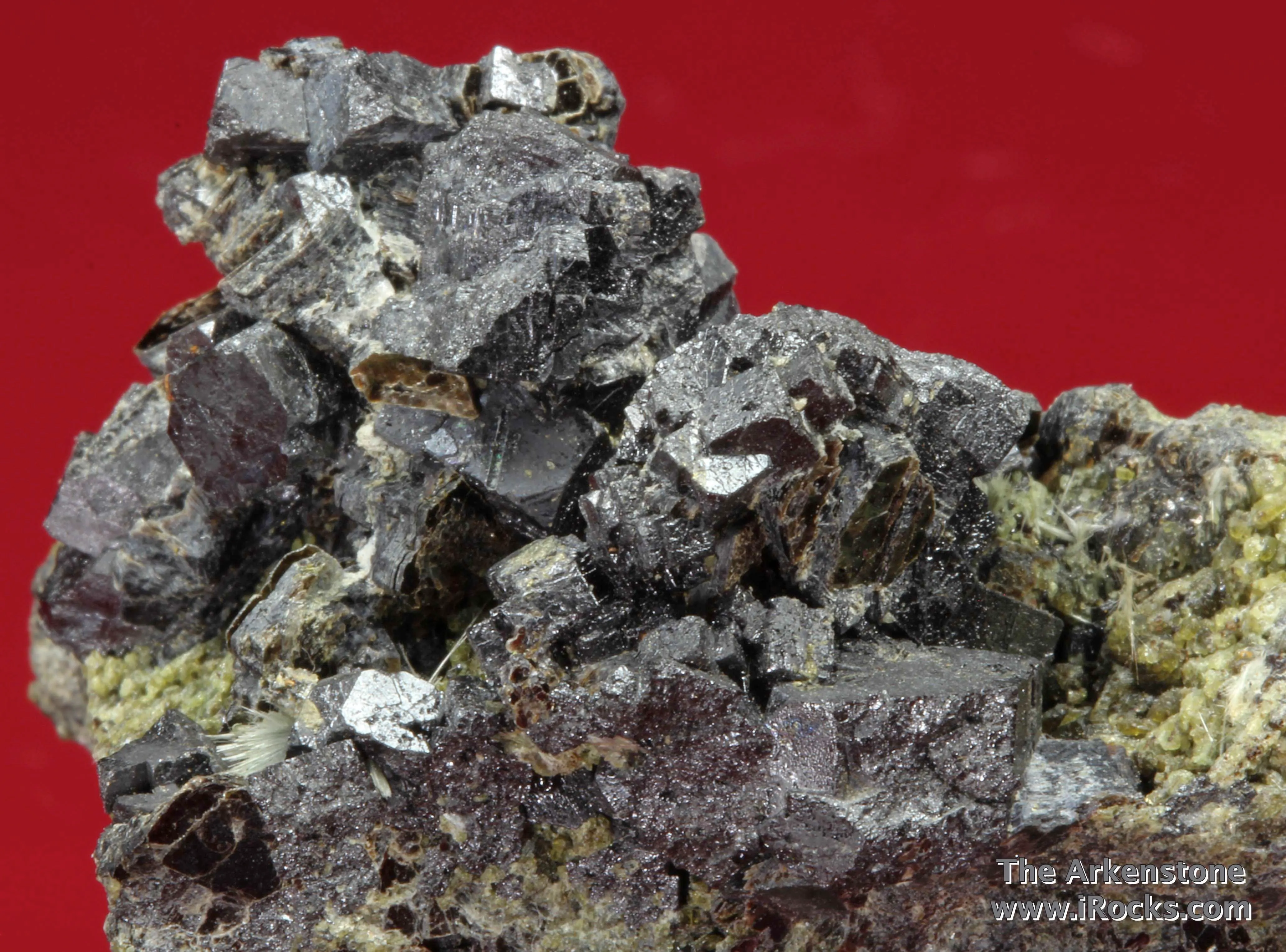 Perovskite with Phlogopite, Richterite, Augite on jacupirangite - image 3