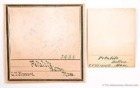 Petalite - image 2