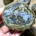 Petrified - image 4