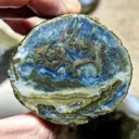Petrified - image 2