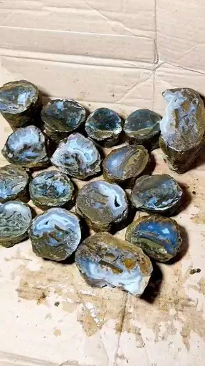 specimen video