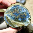 Petrified - image 1