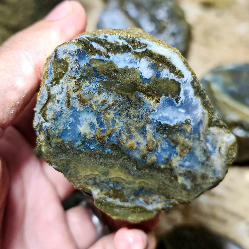 Petrified - image 3