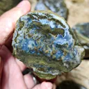 Petrified - image 3