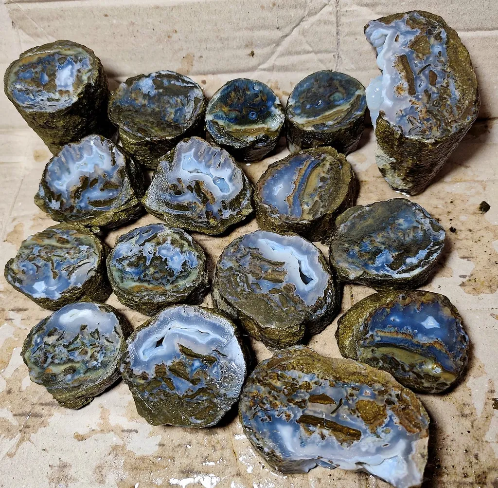 Petrified - image 5