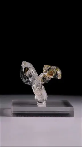 specimen video