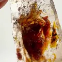 PETROLEUM Quartz WITH A WORLD MOVING INSIDE - image 3