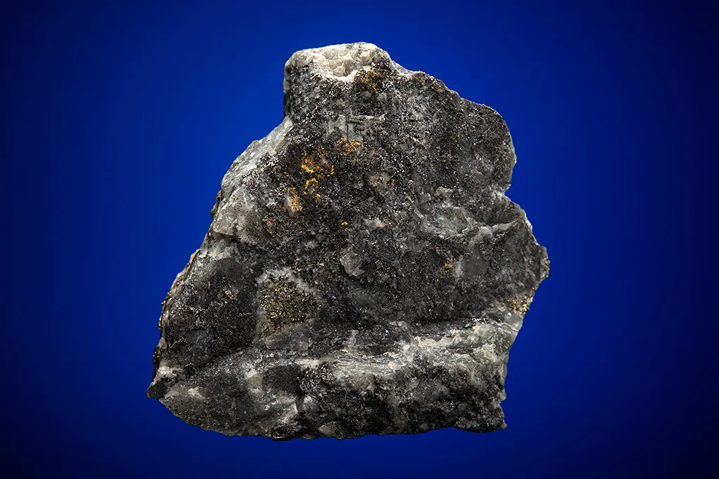 PETZITE with Gold - image 1