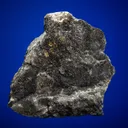 PETZITE with Gold - image 1
