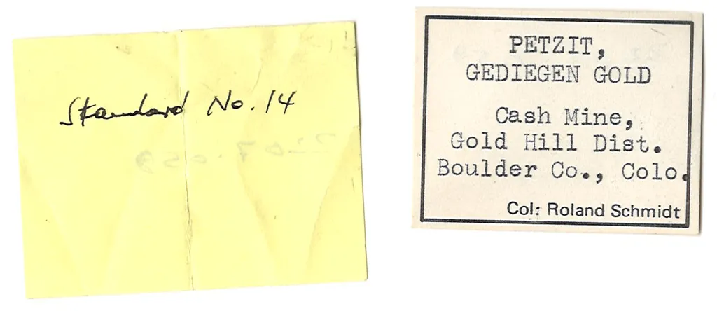 PETZITE with Gold - image 5