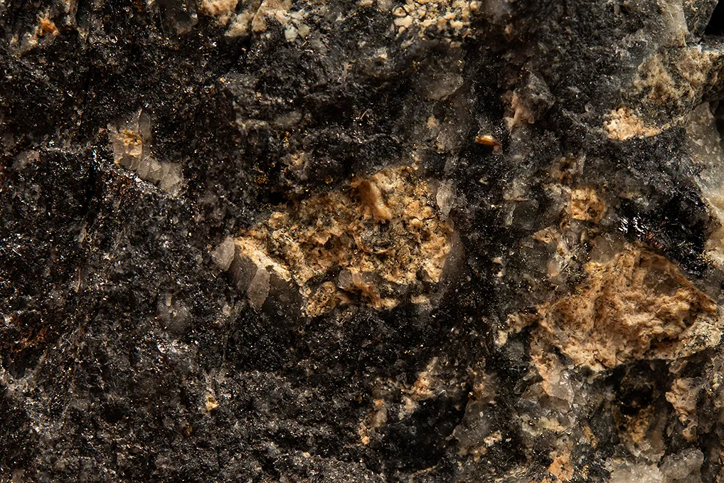 PETZITE with Gold - image 2