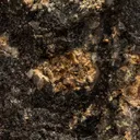 PETZITE with Gold - image 2