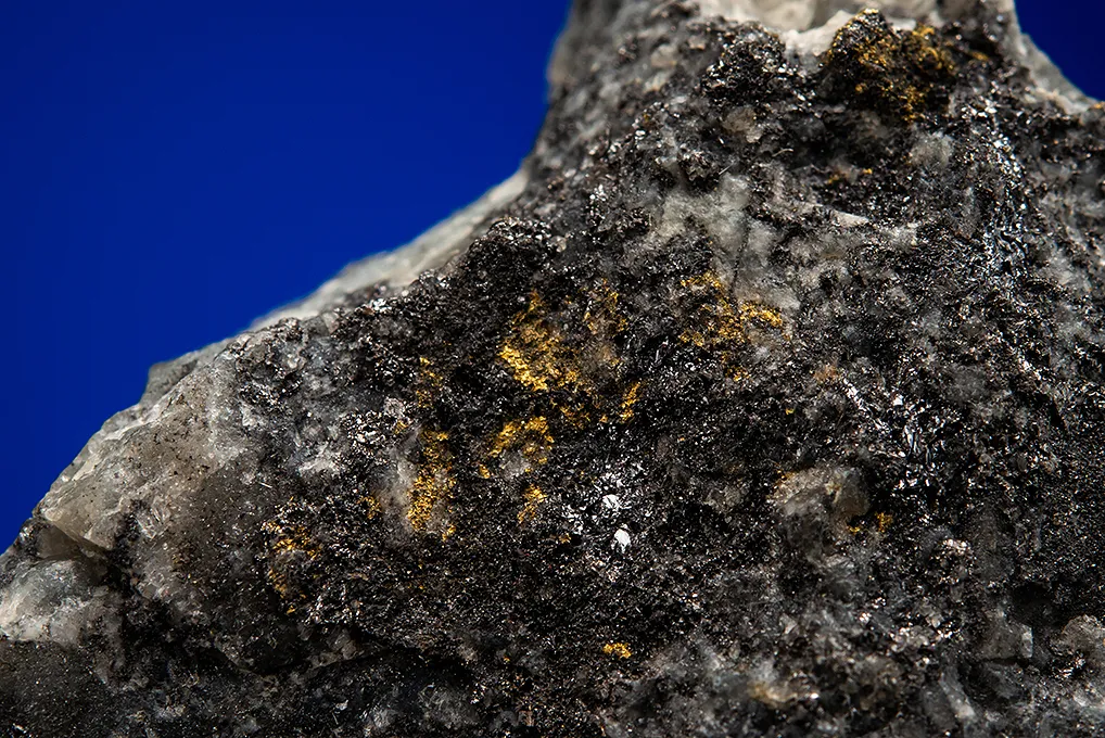 PETZITE with Gold - image 2