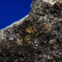 PETZITE with Gold - image 2