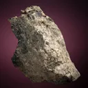 PETZITE with Gold - image 5
