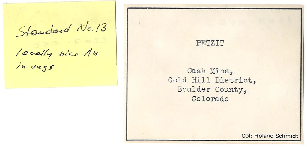 PETZITE with Gold - image 6