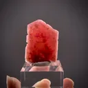 Pezzottaite - image 2