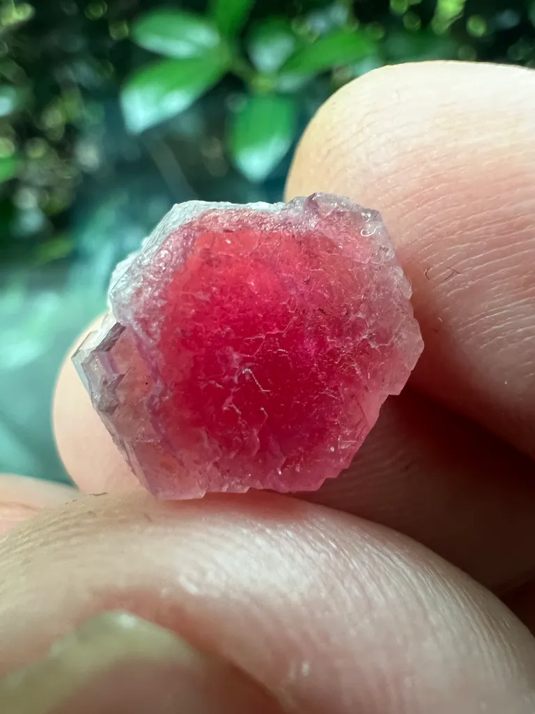Pezzottaite from Madagascar, Haute Matsiatra, Ambalavao District, Ambalavao - 10037 - image 6